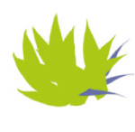 Familjeterapeuterna Syd AB 
